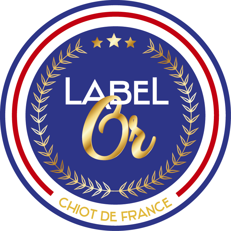 Label or chiot
